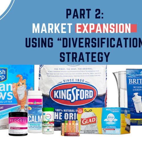 MARKET EXPANSION USING “DIVERSIFICATION STRATEGY